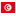 Tunisia Icon 16x16 png
