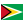 Guyana Icon 24x24 png