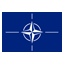 NATO Icon