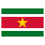 Suriname Icon