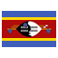 Swaziland Icon 64x64 png