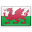 Wales Icon 32x32 png