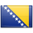 Bosnia and Herzegovina Icon