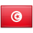 Tunisia Icon 48x48 png