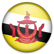 Brunei Darussalam Icon 216x216 png
