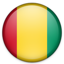 Guinea Icon 216x216 png