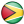 Guyana Icon 24x24 png