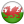 Wa Wales Icon 24x24 png