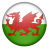 Wa Wales Icon