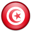 Tunisia Icon 64x64 png