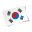 Korean Flag Rotate Icon