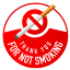 Thank You For Not Smoking Icon Icon
