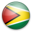 Guyana Icon 64x64 png