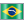 Brazil Flag 1 Icon 24x24 png