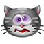Cat Dizzy Icon 64x64 png