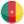 Cameroon Icon 24x24 png