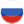 Russia Icon 24x24 png