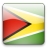 Guyana Icon