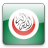 Islamic Conference Icon